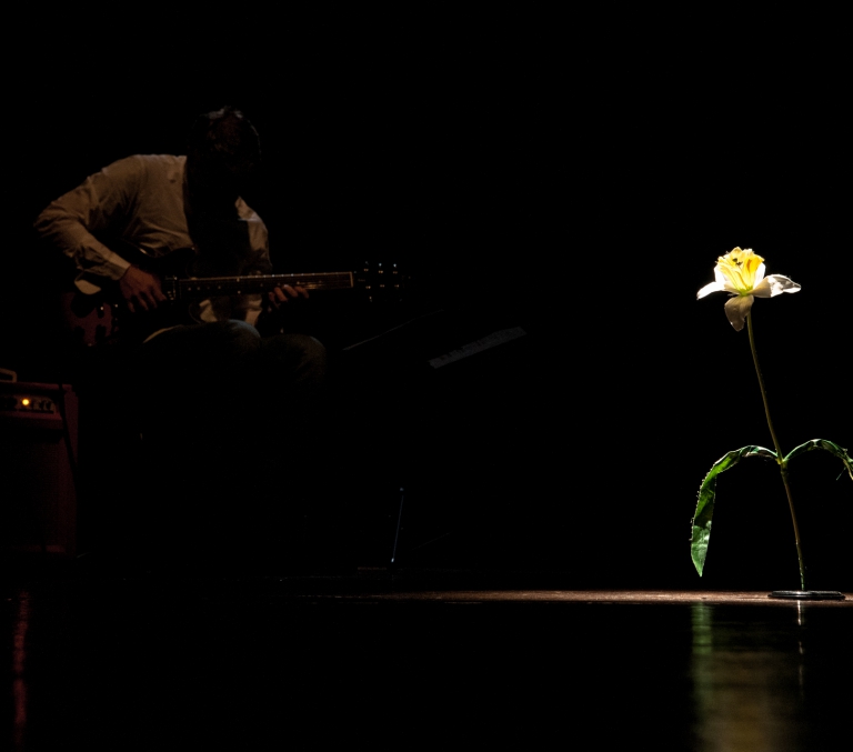 Narciso